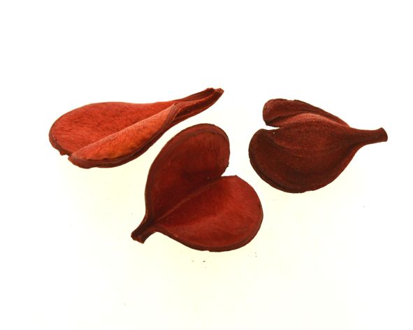 Pereirinha pingente colorido - Vermelho (unidade)